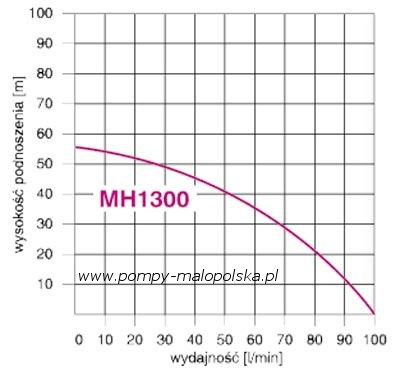 wykres pracy pompy MHI1300